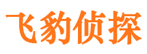 武胜侦探公司